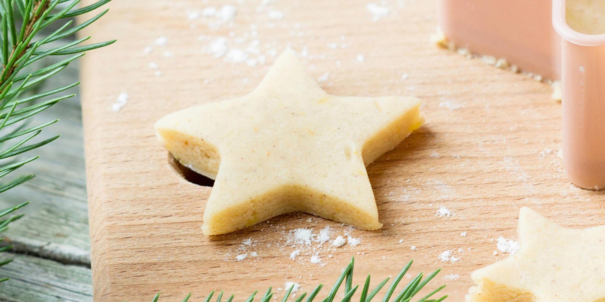 Sugar Free Christmas Cookies With Splenda / Gingerbread ...